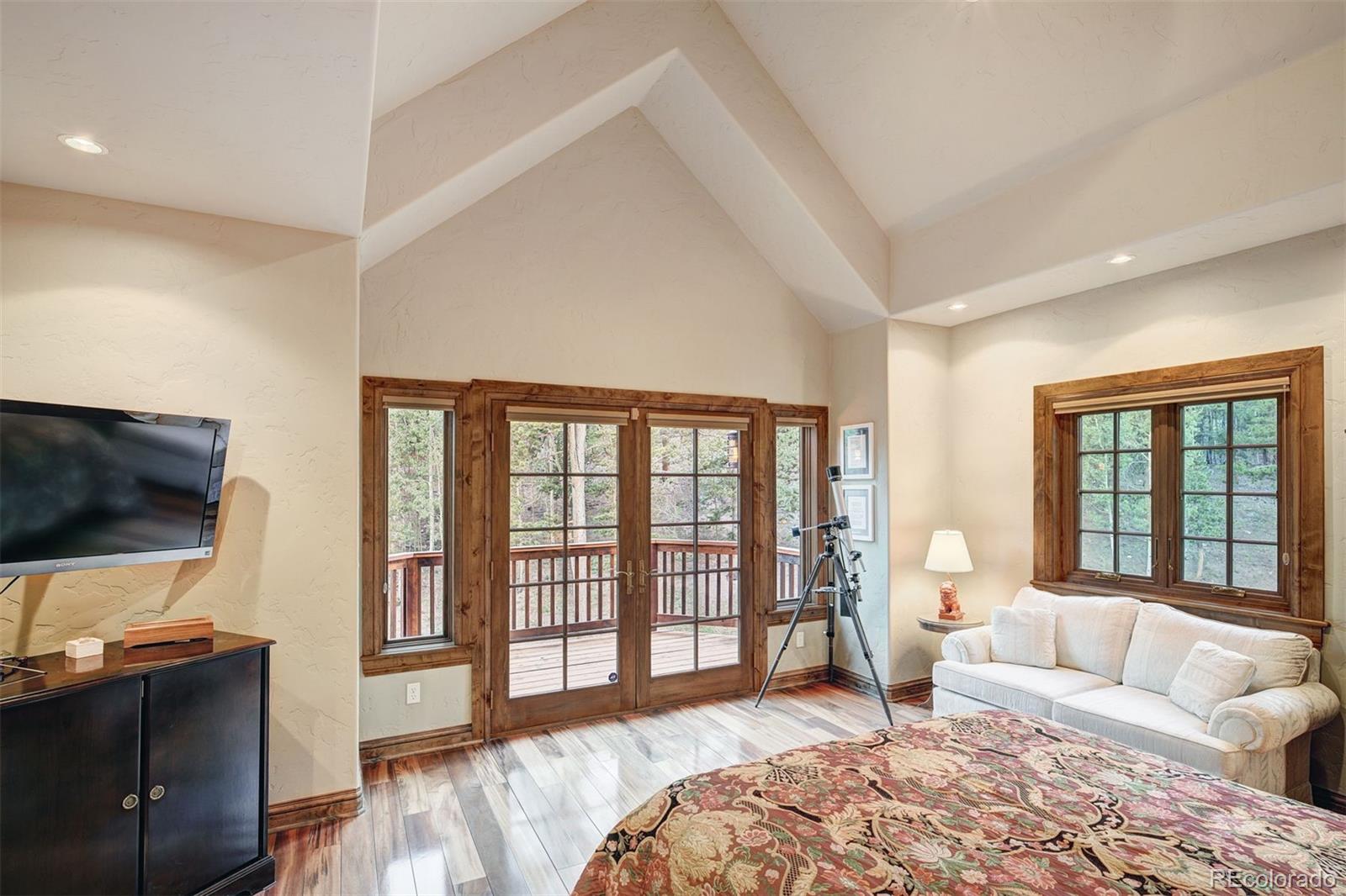 MLS Image #16 for 24  little baldy circle,fairplay, Colorado