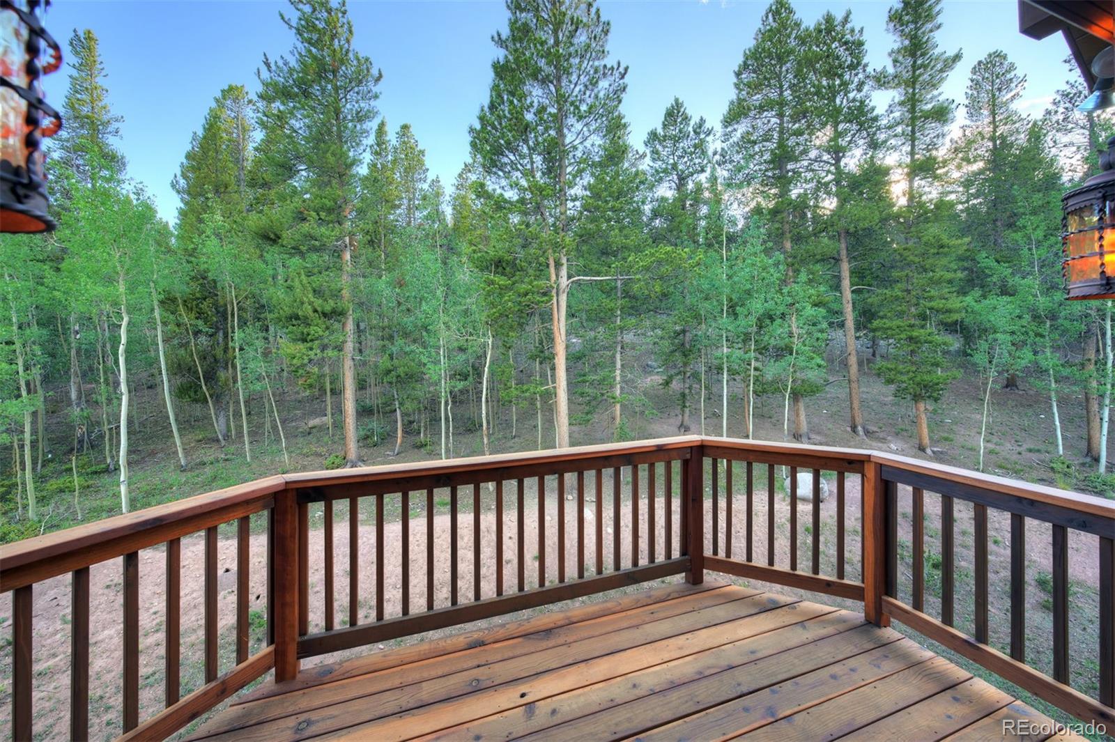 MLS Image #17 for 24  little baldy circle,fairplay, Colorado