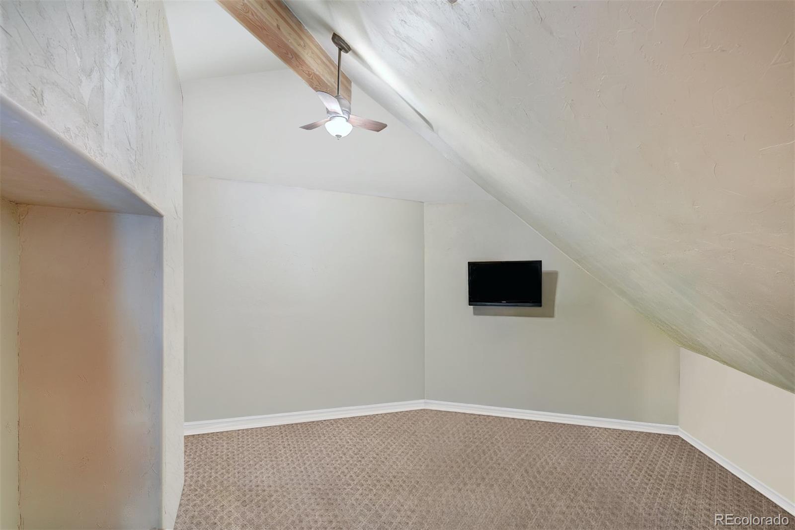 MLS Image #20 for 24  little baldy circle,fairplay, Colorado