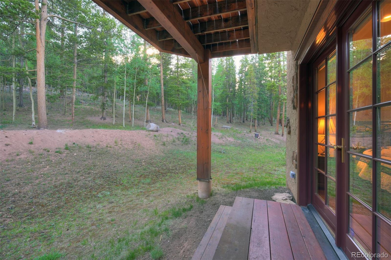 MLS Image #27 for 24  little baldy circle,fairplay, Colorado