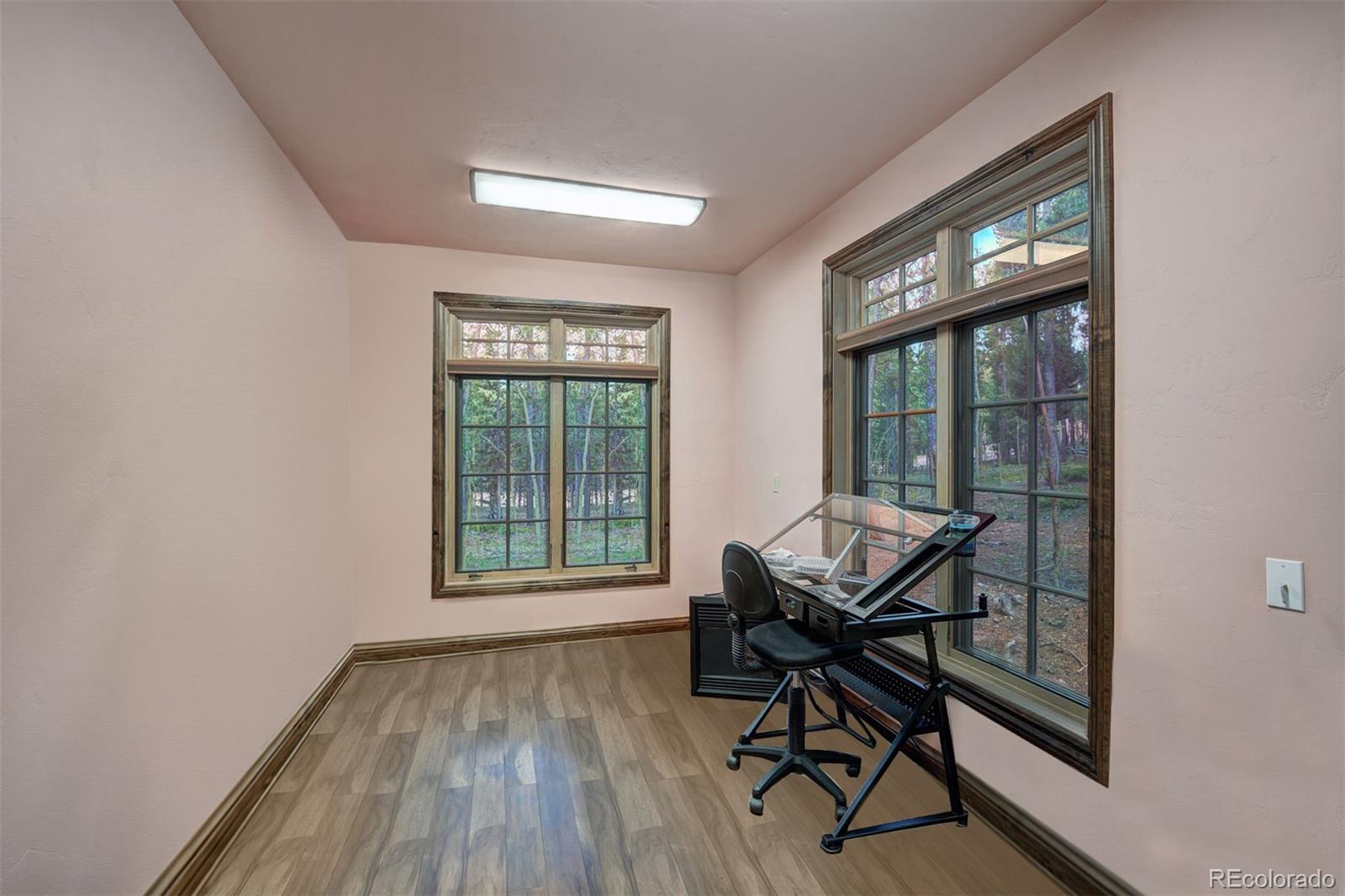MLS Image #39 for 24  little baldy circle,fairplay, Colorado