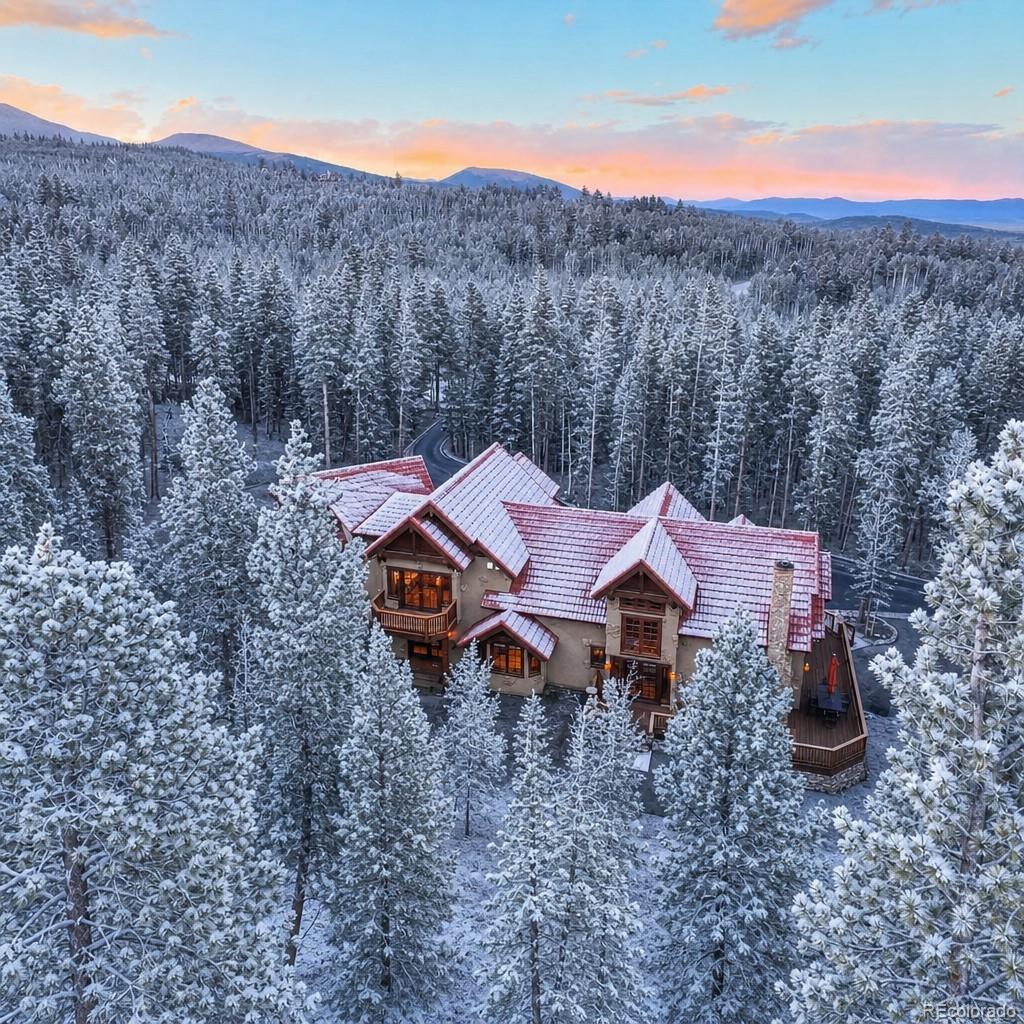 MLS Image #4 for 24  little baldy circle,fairplay, Colorado
