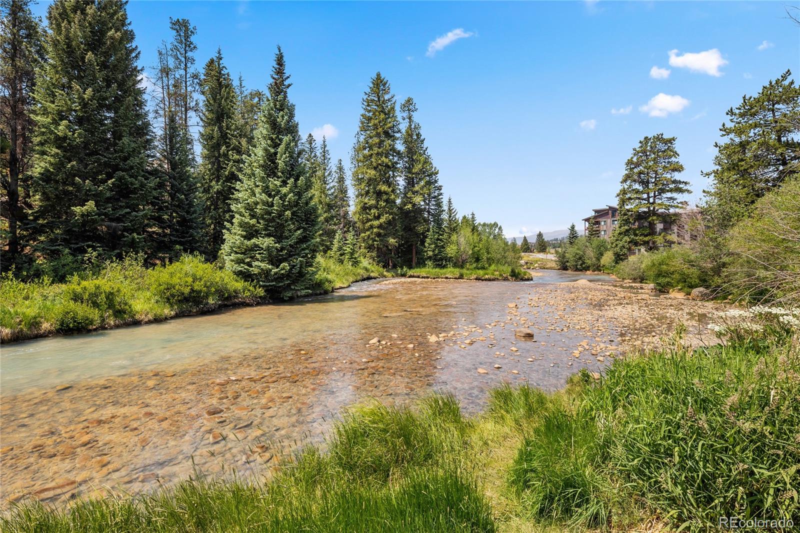 MLS Image #28 for 166  argentine court,dillon, Colorado