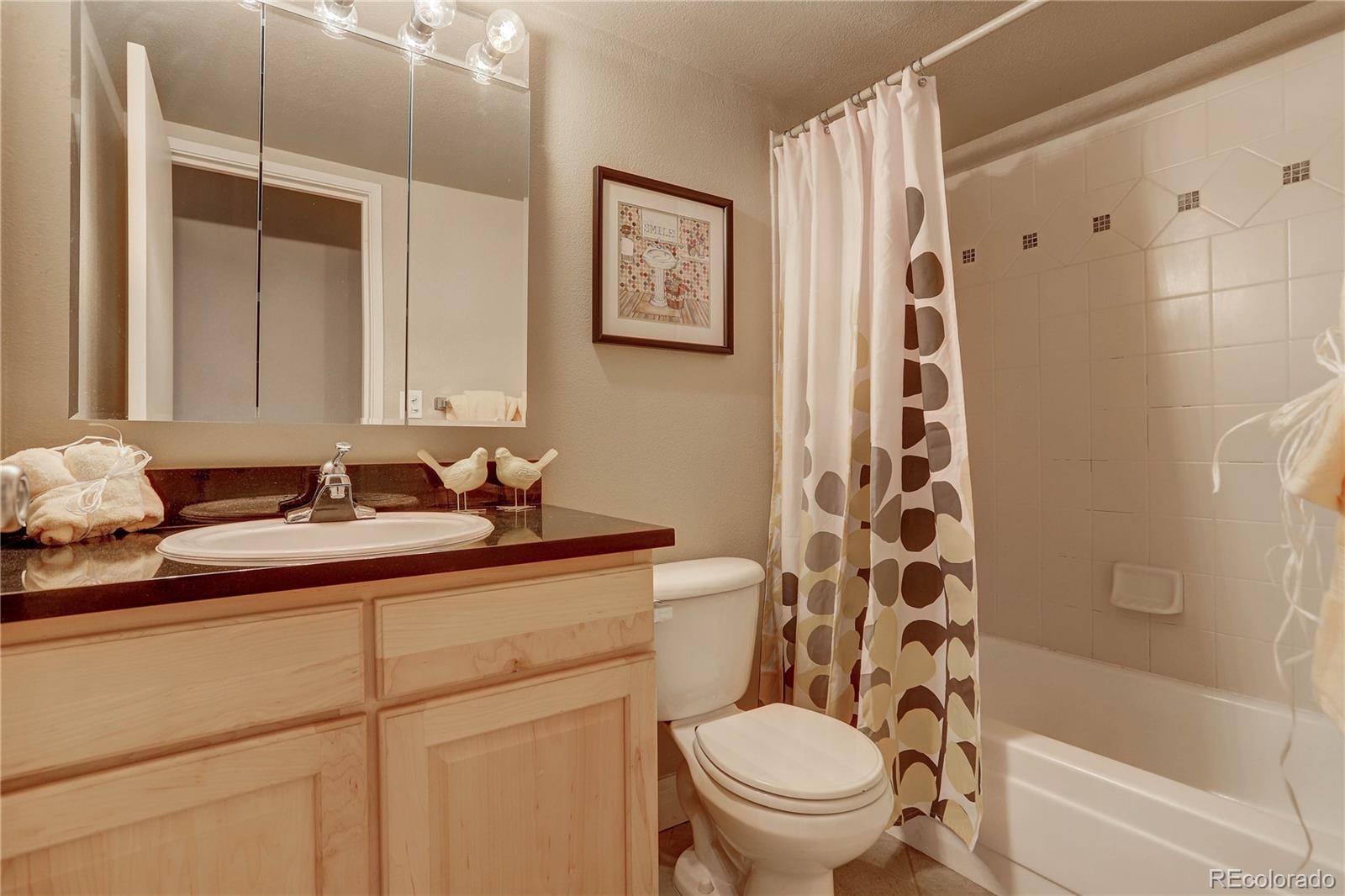 MLS Image #19 for 601 w 11th avenue,denver, Colorado