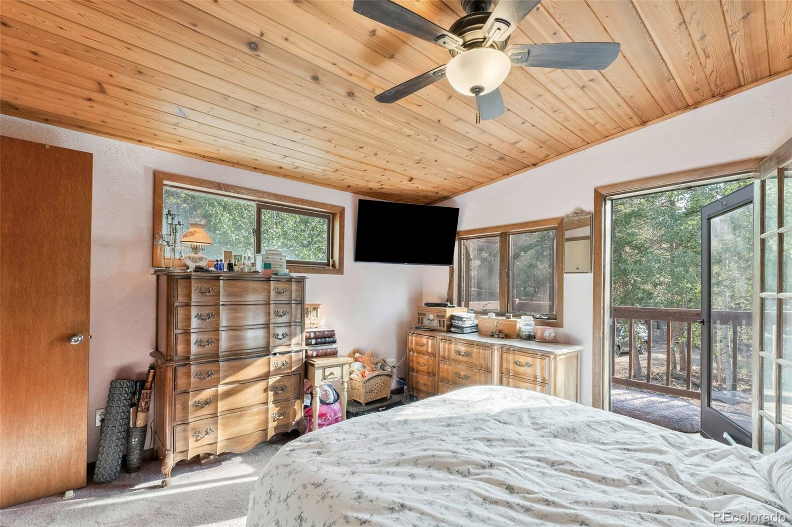 MLS Image #23 for 100  raptor point road,golden, Colorado