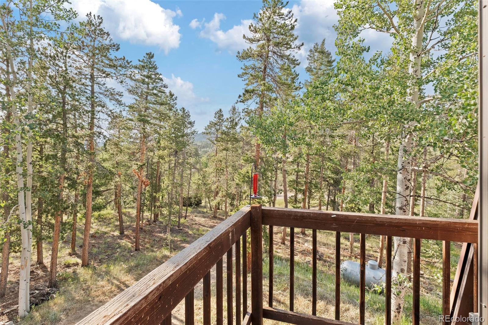 MLS Image #26 for 100  raptor point road,golden, Colorado