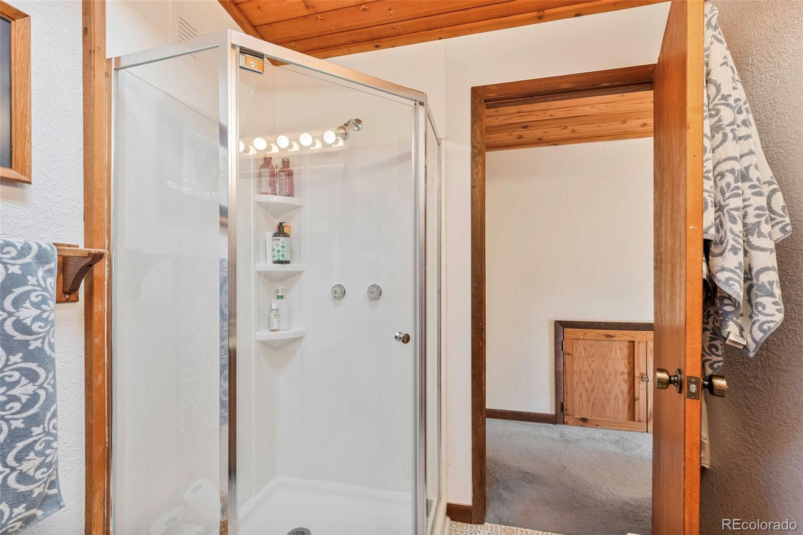 MLS Image #28 for 100  raptor point road,golden, Colorado