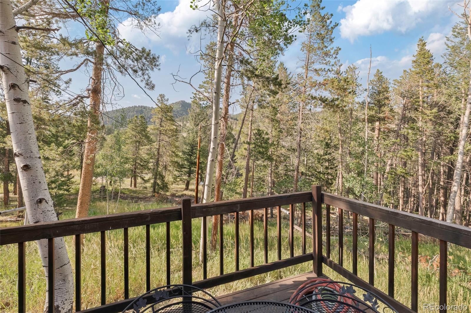 MLS Image #33 for 100  raptor point road,golden, Colorado