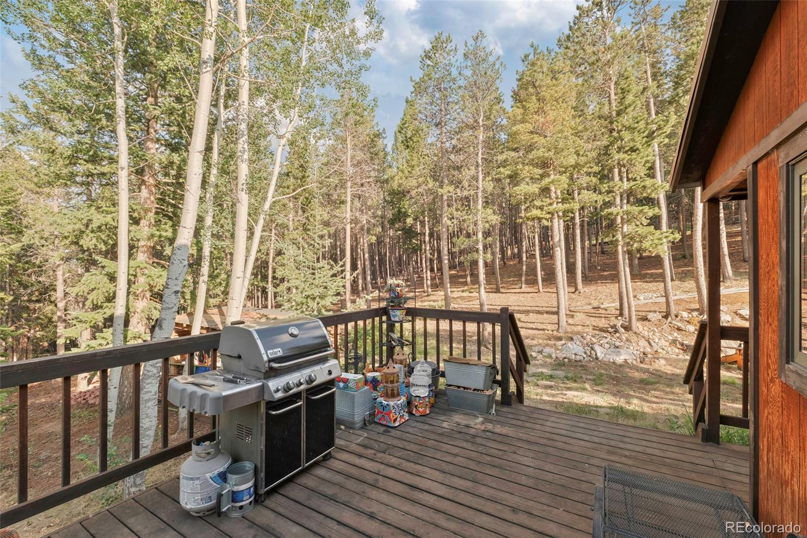 MLS Image #35 for 100  raptor point road,golden, Colorado