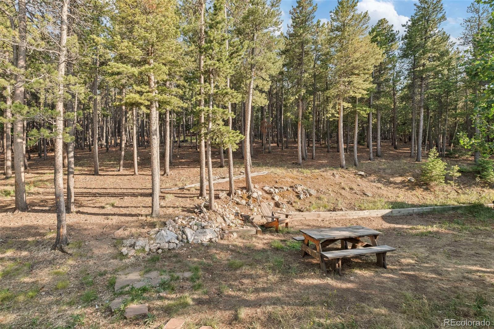 MLS Image #36 for 100  raptor point road,golden, Colorado