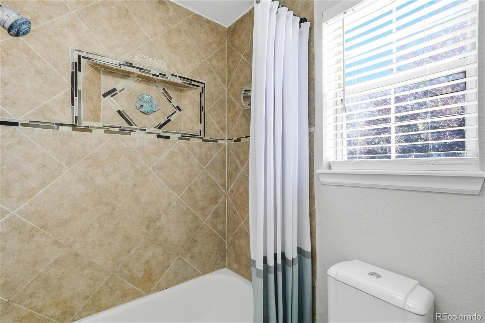 MLS Image #34 for 16855  hoot owl court,parker, Colorado
