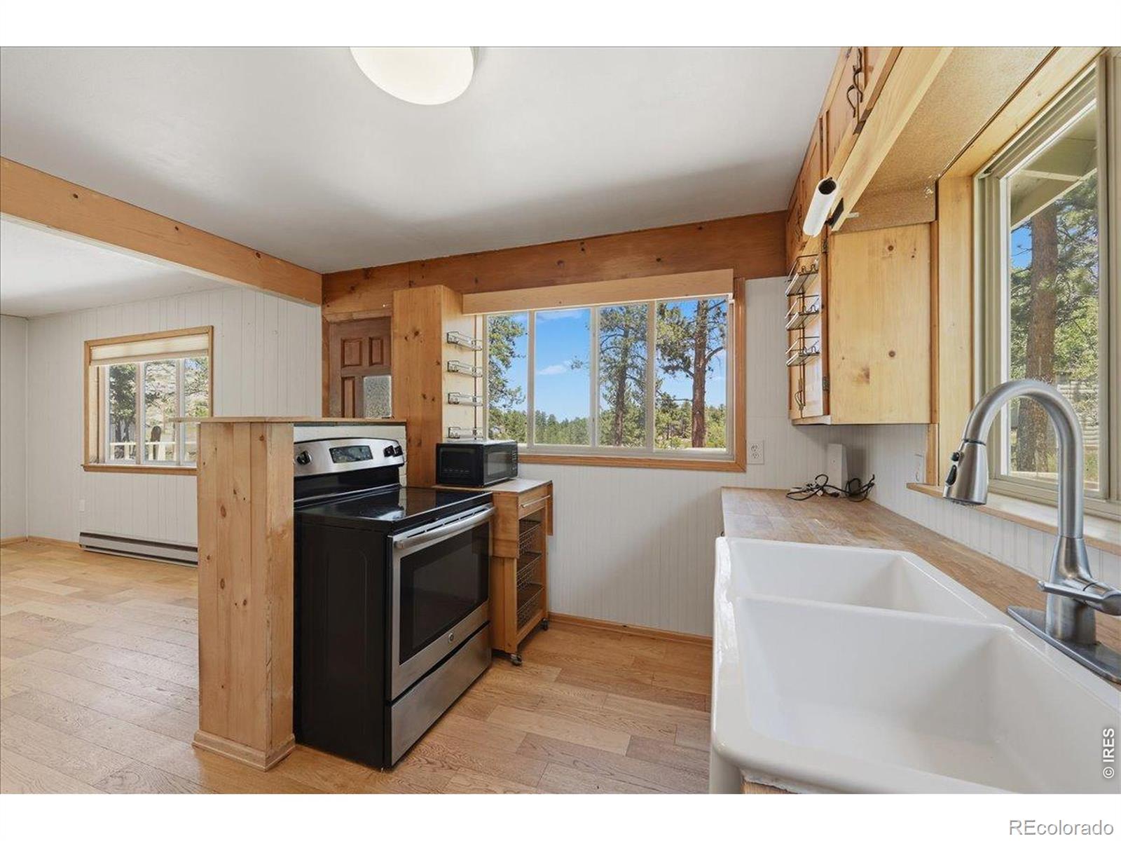 MLS Image #18 for 80  shagwa drive,red feather lakes, Colorado