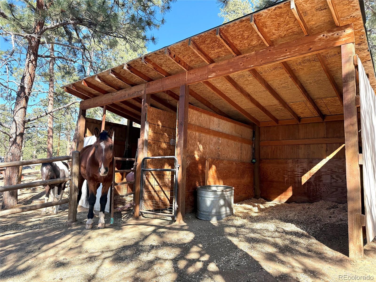 MLS Image #4 for 22867  pawnee road,indian hills, Colorado
