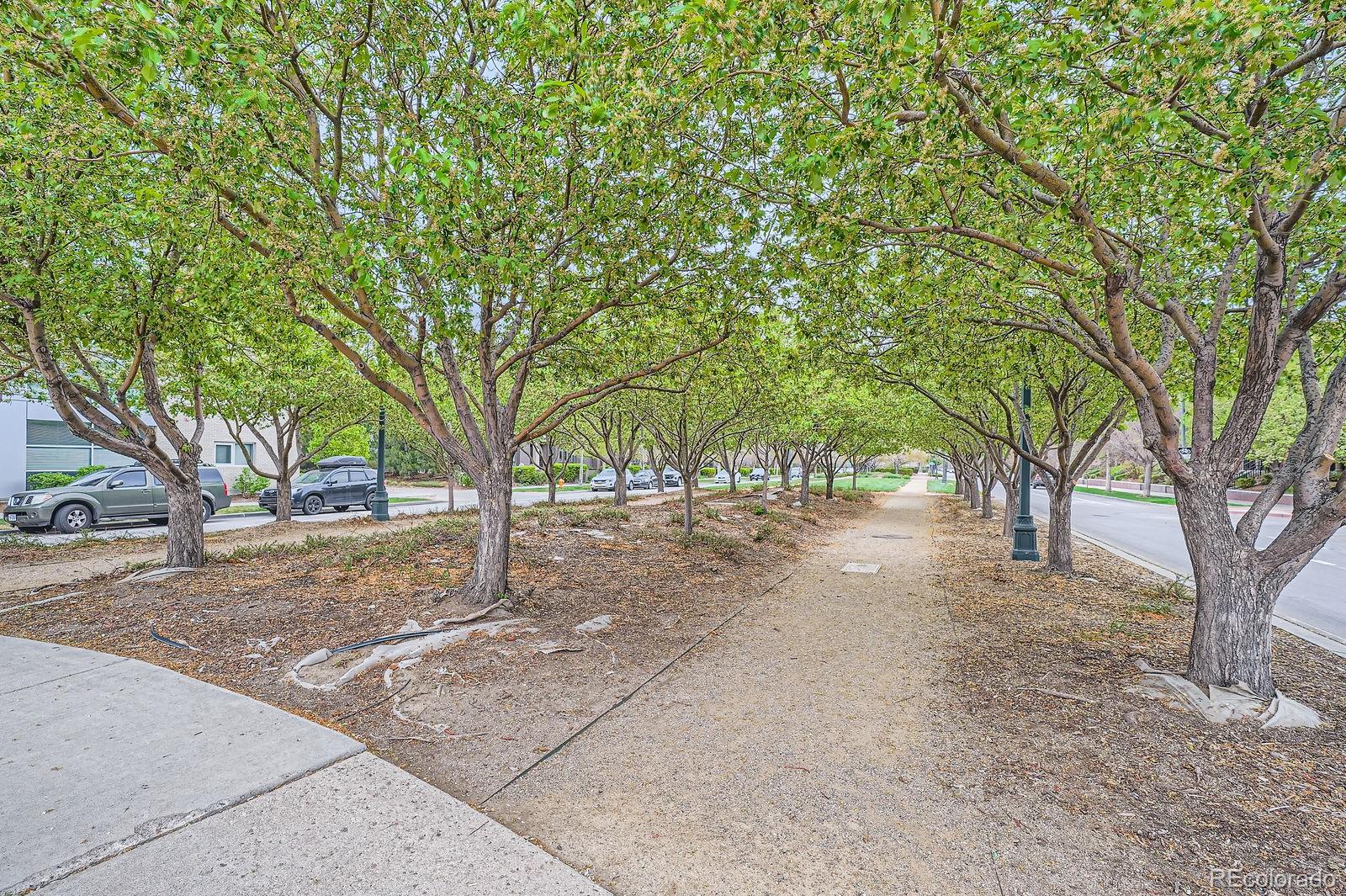 MLS Image #10 for 7700 e 29th street avenue,denver, Colorado