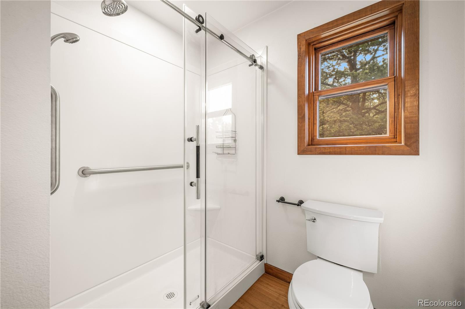 MLS Image #13 for 1335  good hope drive,westcliffe, Colorado