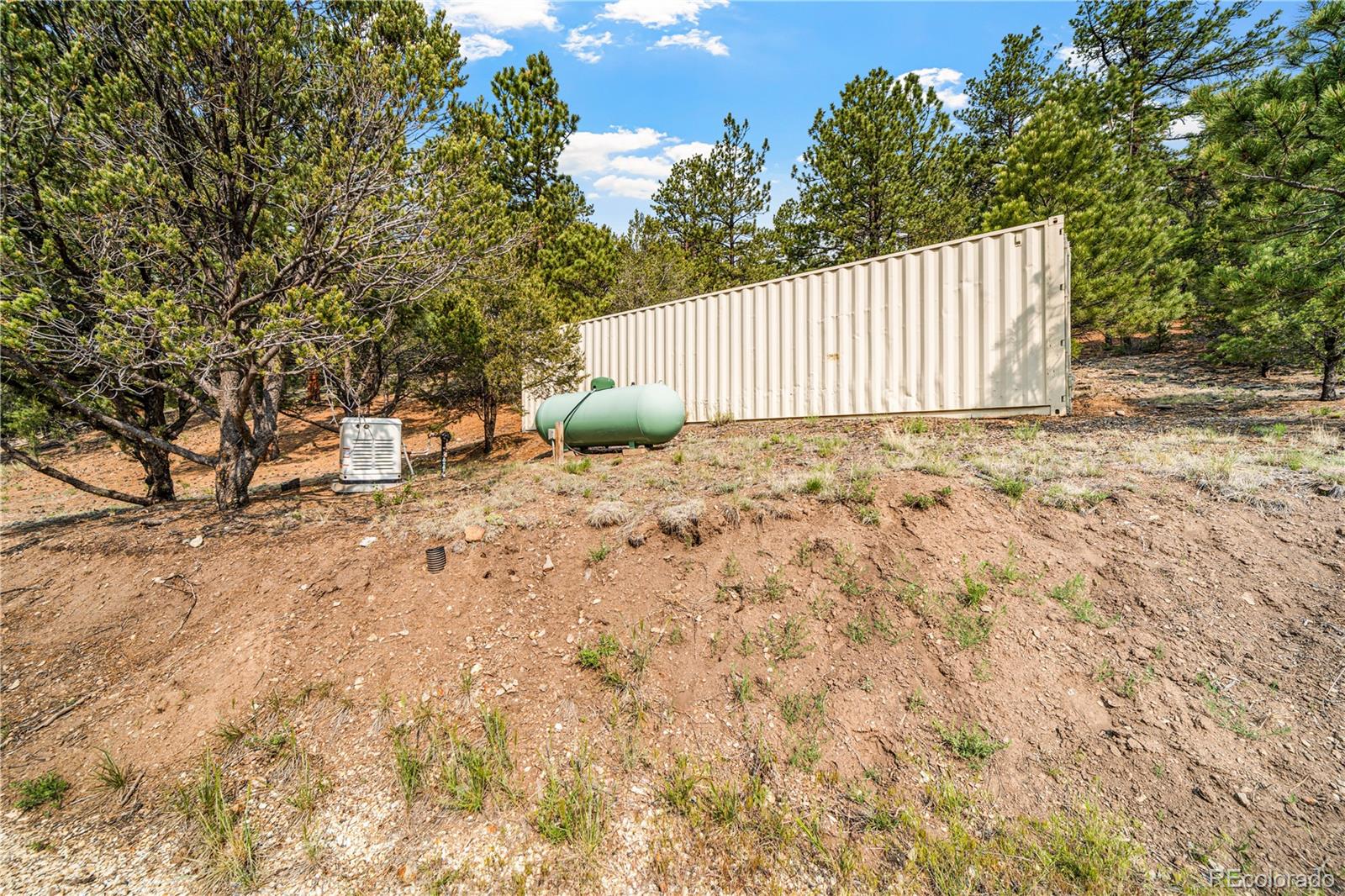 MLS Image #6 for 1335  good hope drive,westcliffe, Colorado