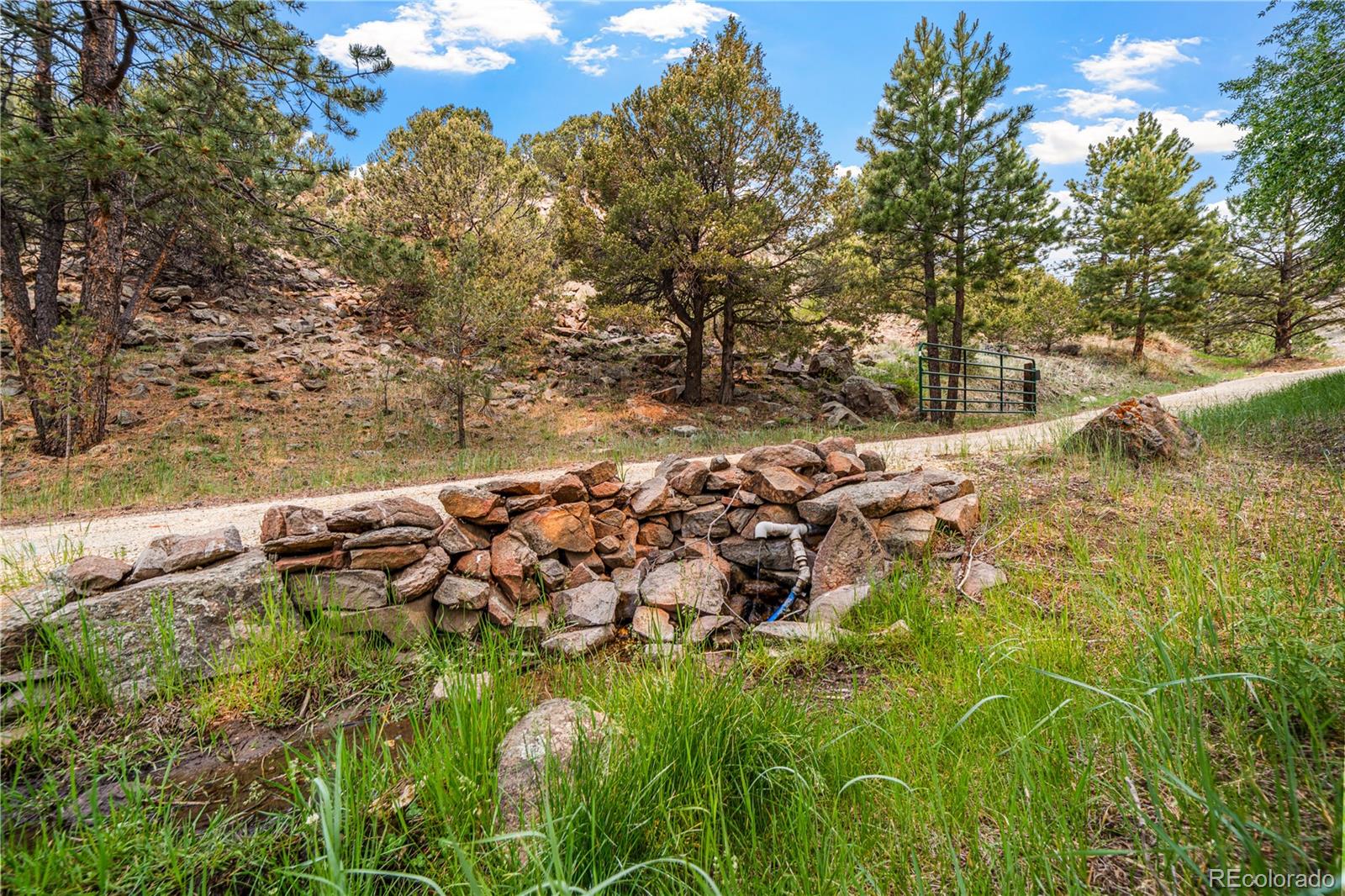 MLS Image #7 for 1335  good hope drive,westcliffe, Colorado