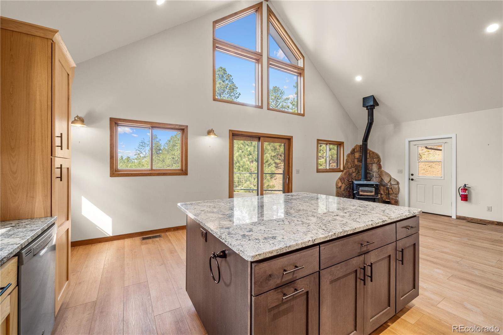 MLS Image #9 for 1335  good hope drive,westcliffe, Colorado