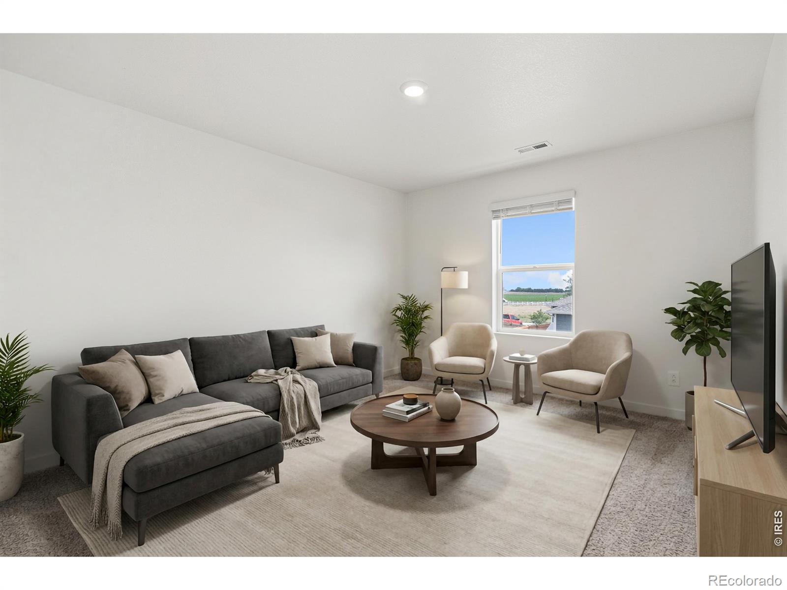 MLS Image #21 for 3713  catmint street,wellington, Colorado