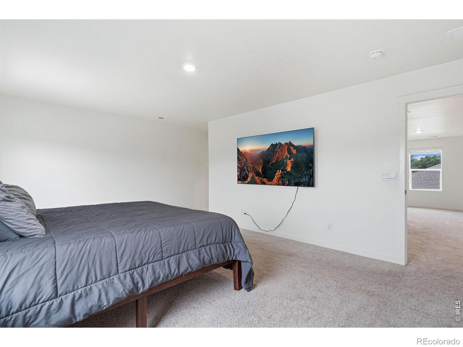 MLS Image #26 for 3713  catmint street,wellington, Colorado