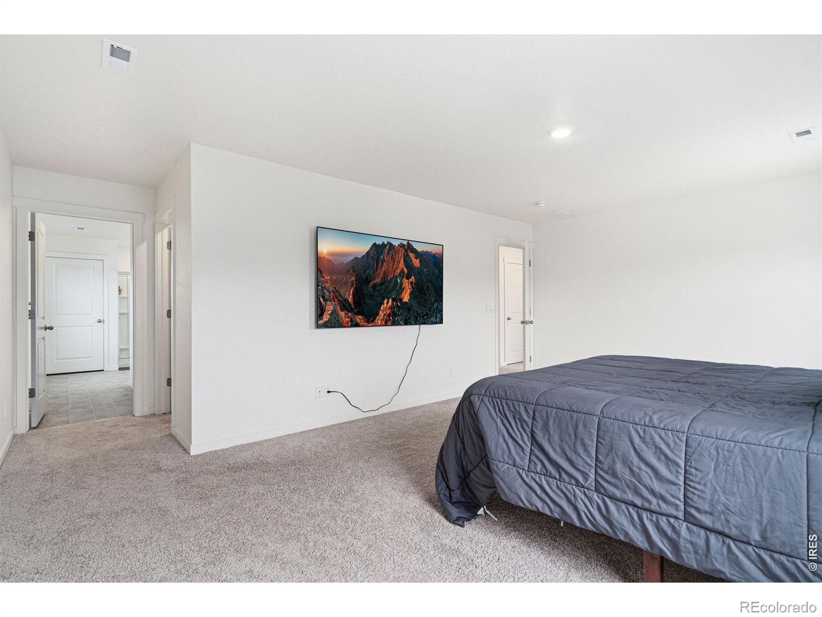 MLS Image #27 for 3713  catmint street,wellington, Colorado