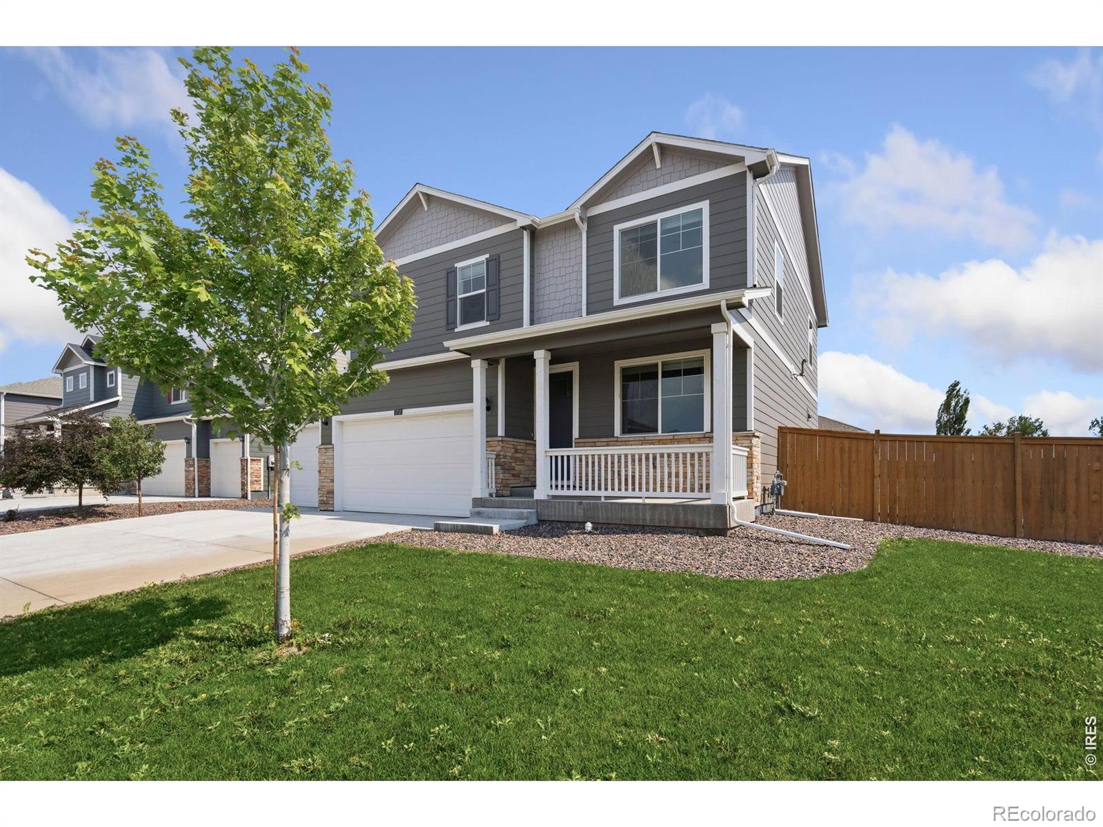 MLS Image #3 for 3713  catmint street,wellington, Colorado