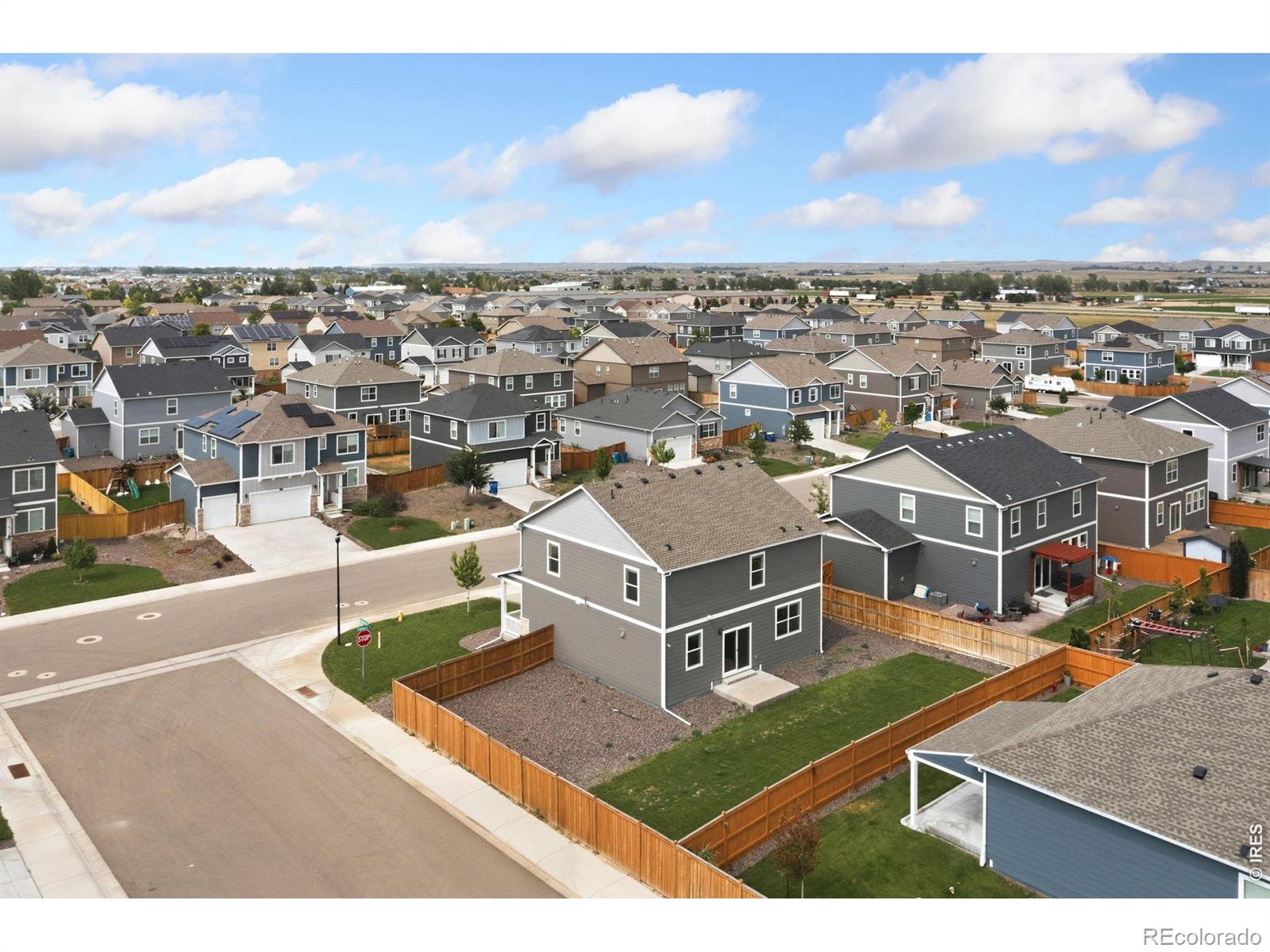 MLS Image #40 for 3713  catmint street,wellington, Colorado