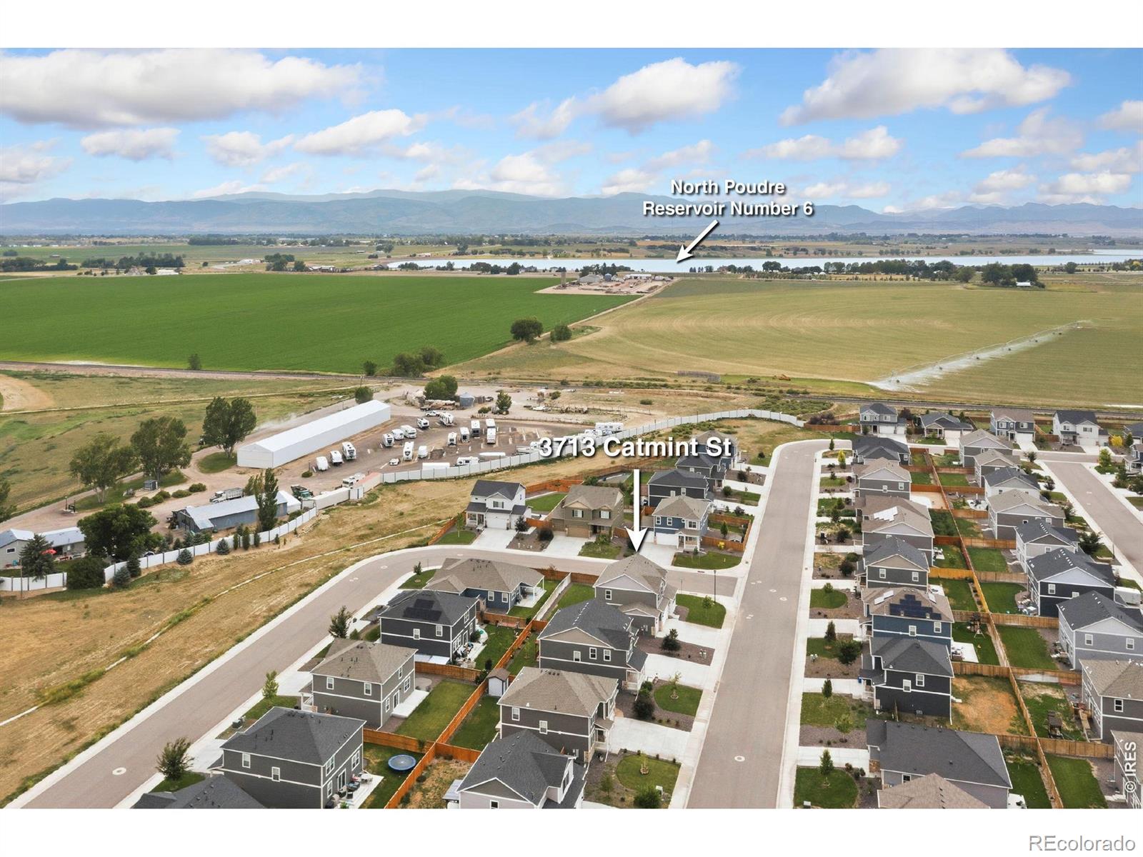 MLS Image #41 for 3713  catmint street,wellington, Colorado