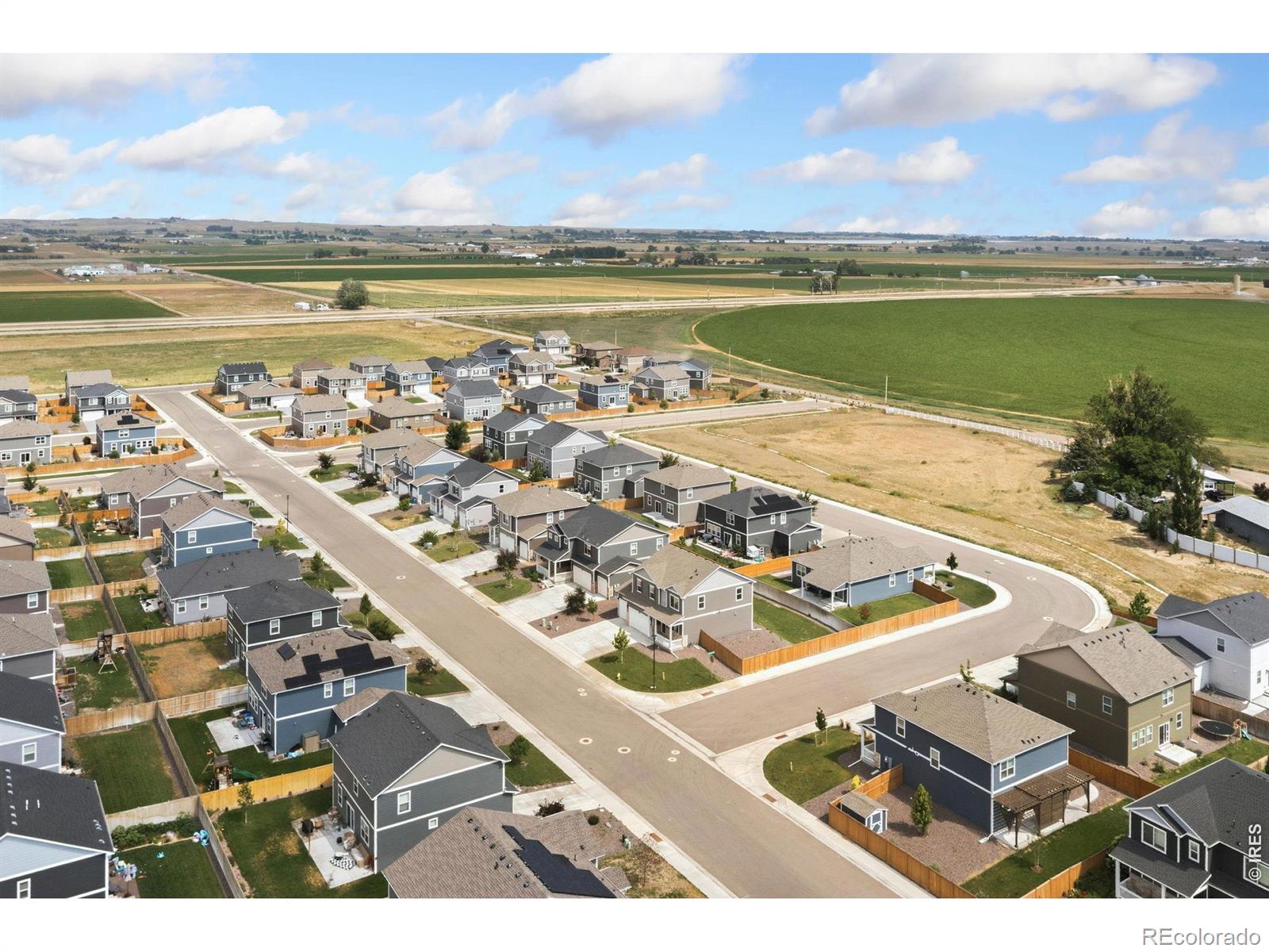 MLS Image #42 for 3713  catmint street,wellington, Colorado