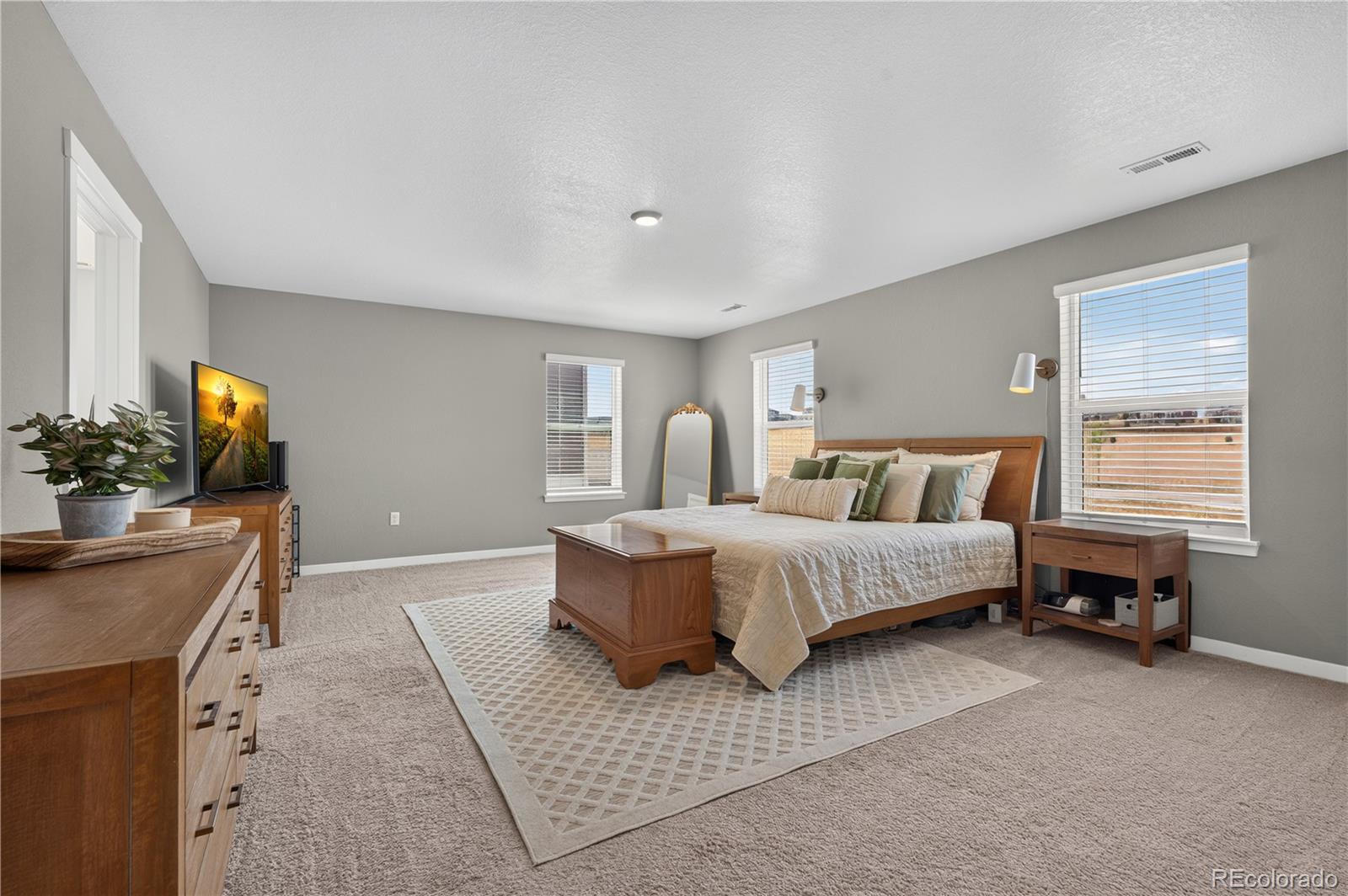 MLS Image #15 for 14225  purple aster way,parker, Colorado