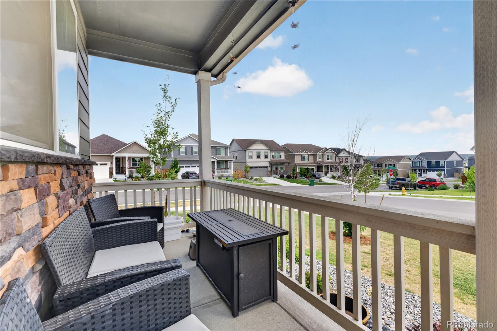 MLS Image #2 for 14225  purple aster way,parker, Colorado