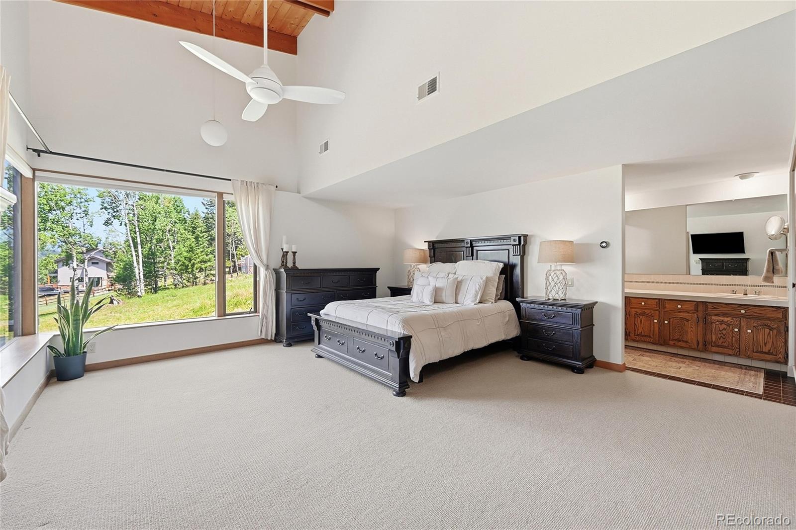 MLS Image #24 for 32042  horseshoe drive,evergreen, Colorado