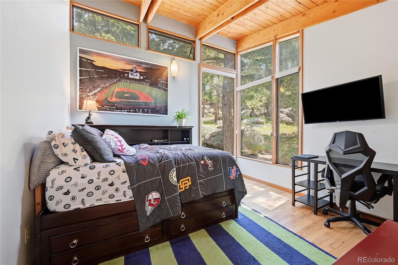 MLS Image #38 for 32042  horseshoe drive,evergreen, Colorado