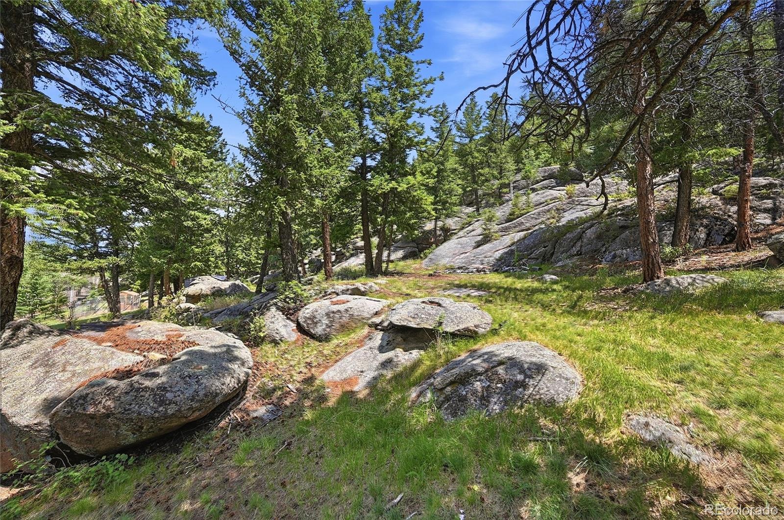 MLS Image #44 for 32042  horseshoe drive,evergreen, Colorado