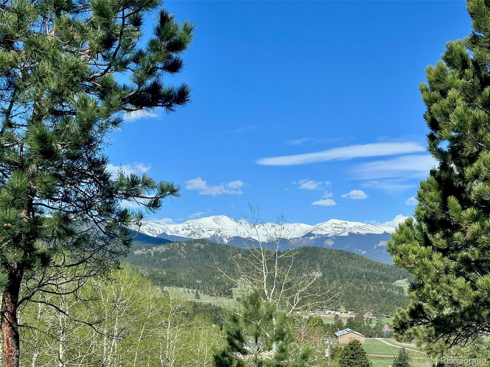 MLS Image #5 for 32042  horseshoe drive,evergreen, Colorado