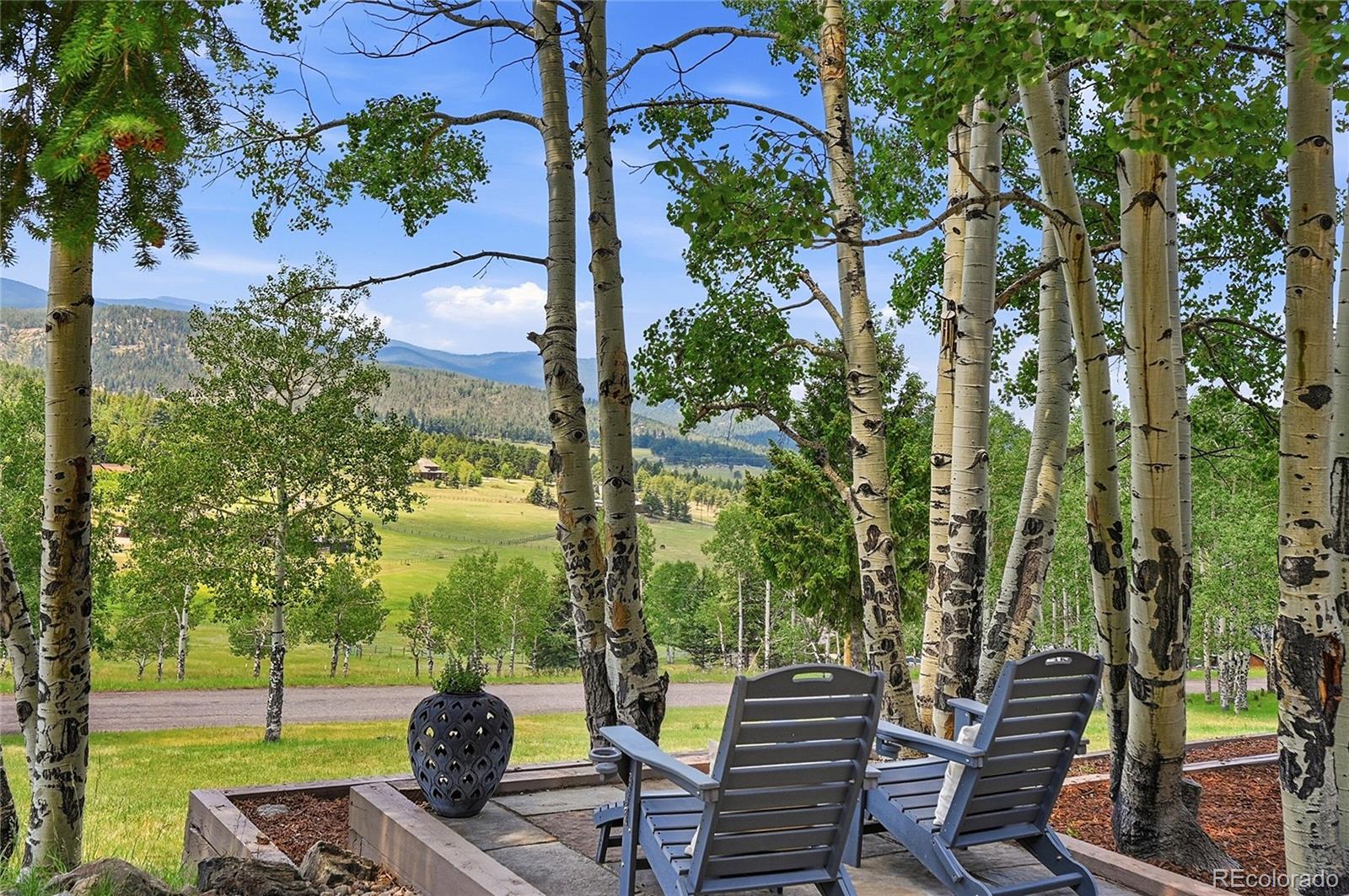 MLS Image #6 for 32042  horseshoe drive,evergreen, Colorado