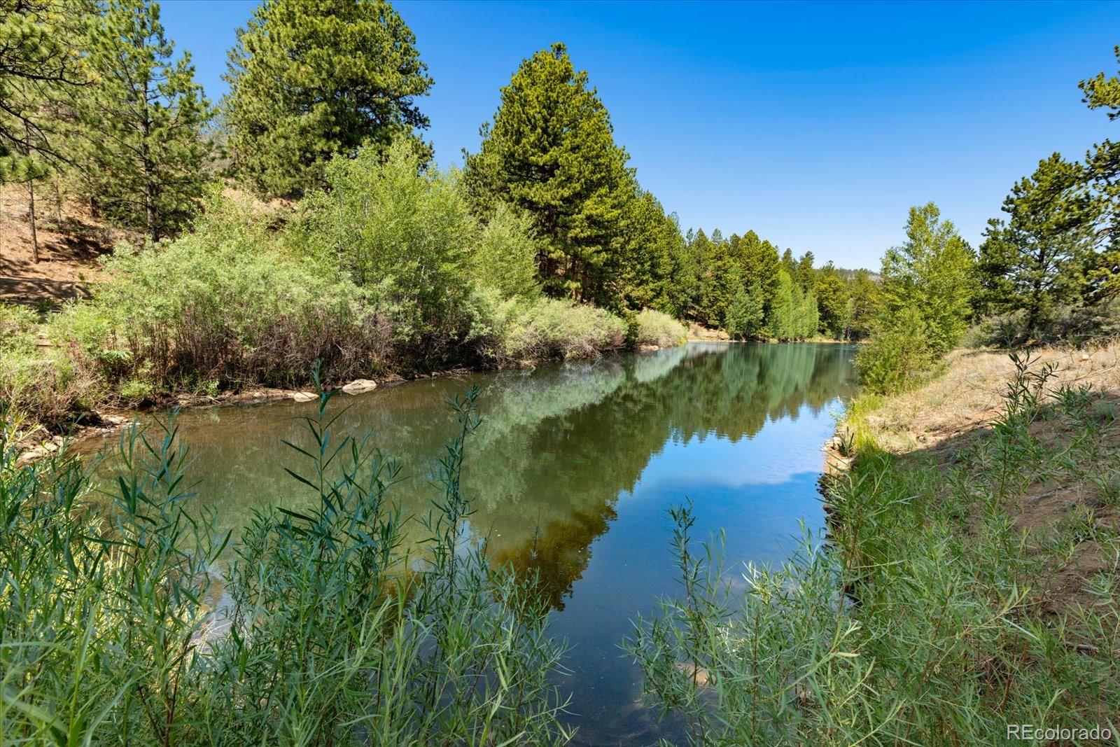 MLS Image #42 for 18340 s lake road,buena vista, Colorado