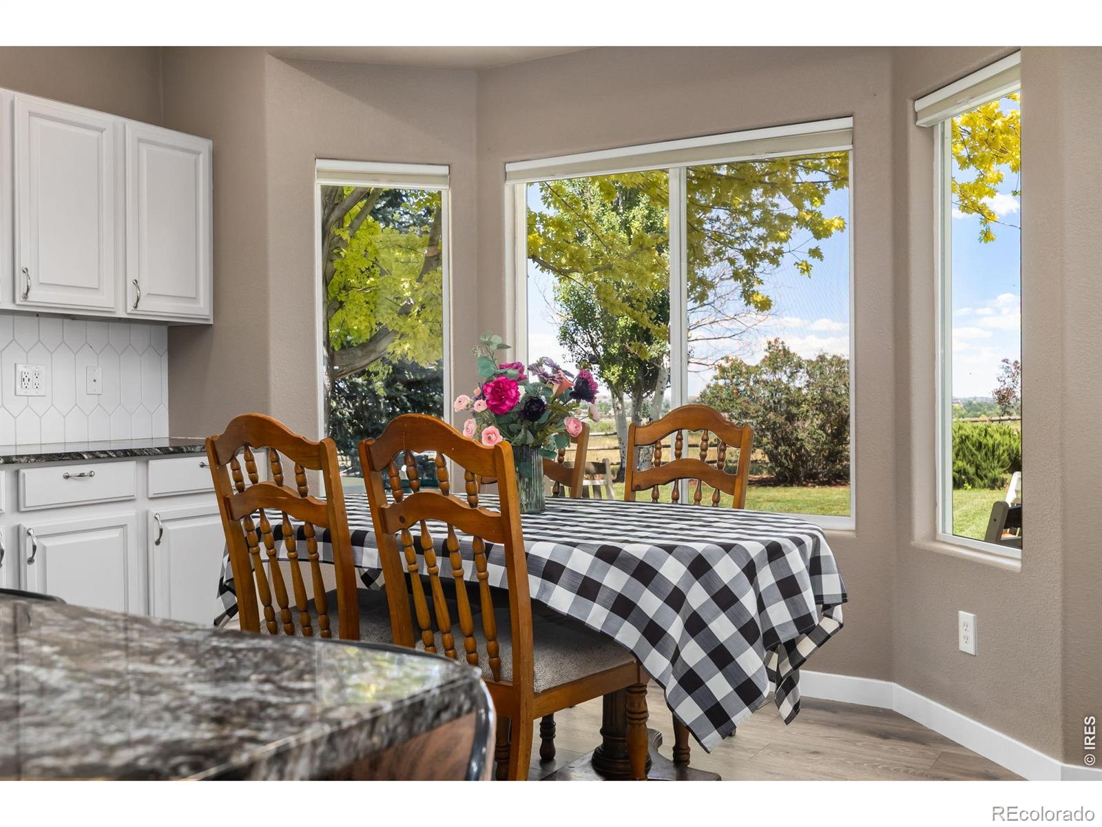 MLS Image #12 for 1191  ridge west drive,windsor, Colorado