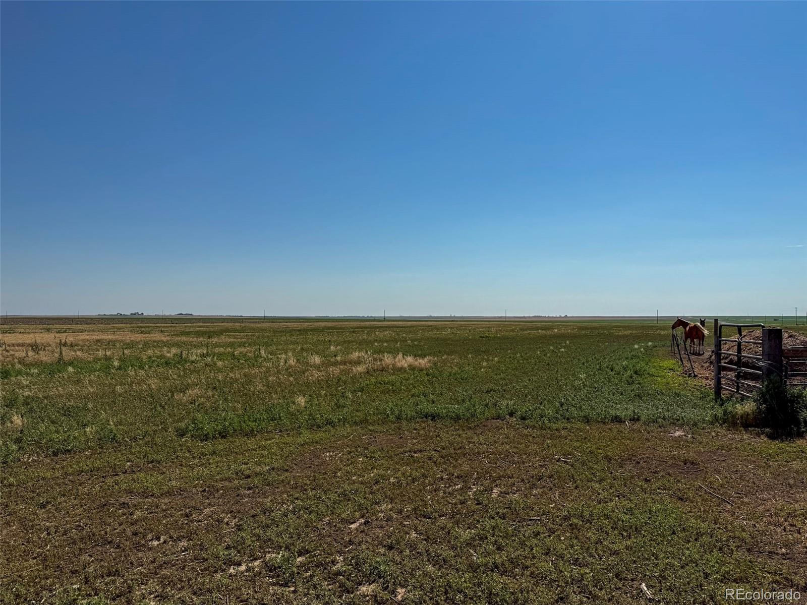 MLS Image #24 for 41777  county road t ,burlington, Colorado