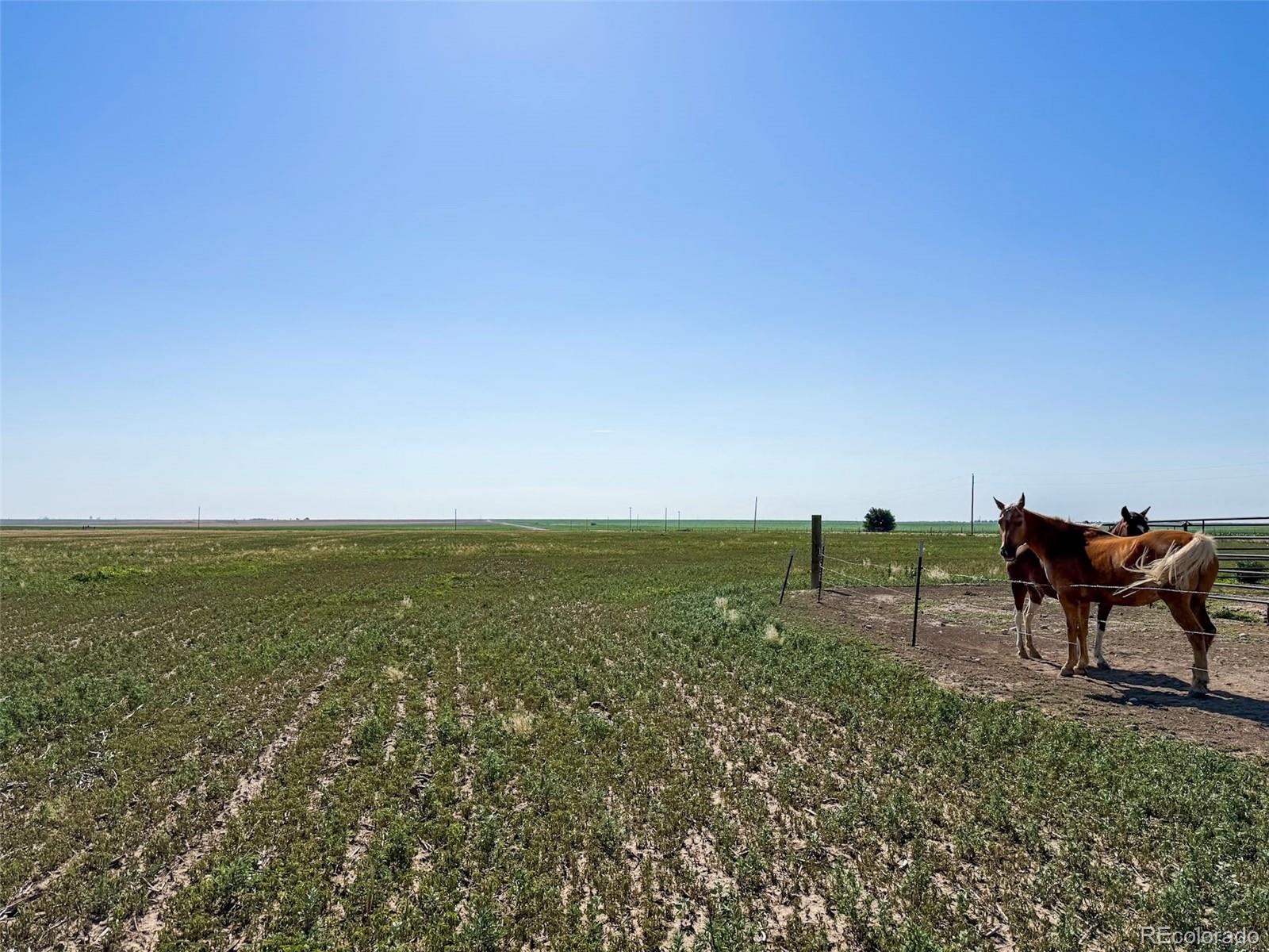 MLS Image #25 for 41777  county road t ,burlington, Colorado
