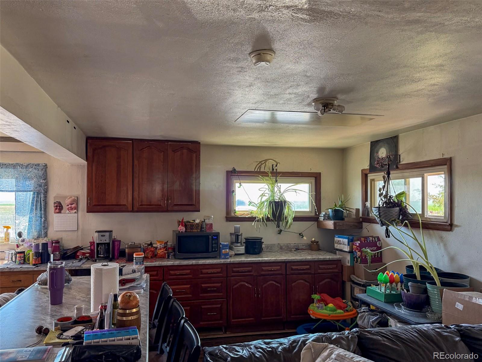 MLS Image #4 for 41777  county road t ,burlington, Colorado