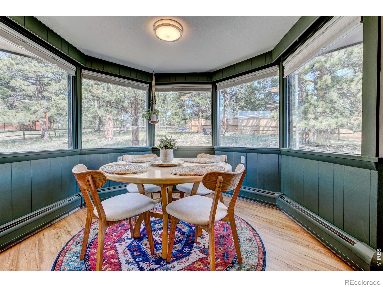 MLS Image #21 for 1041  otis lane,estes park, Colorado