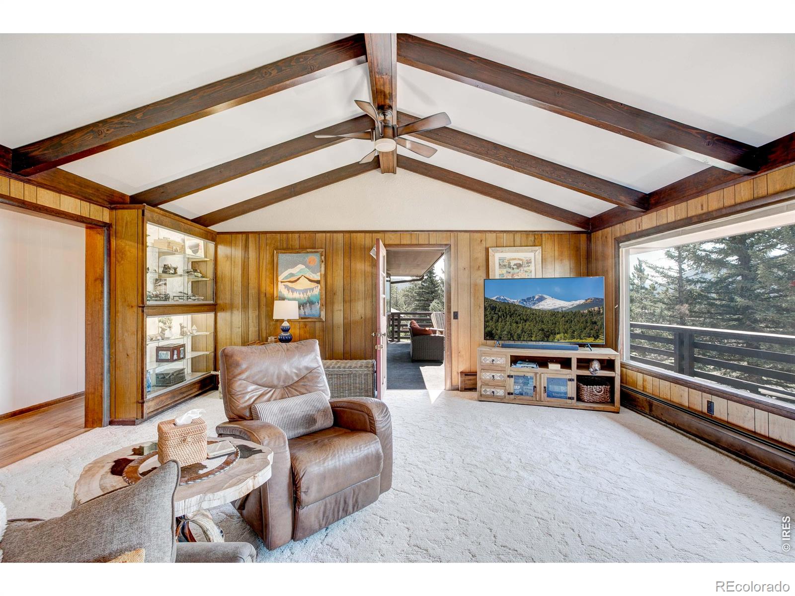 MLS Image #8 for 1041  otis lane,estes park, Colorado