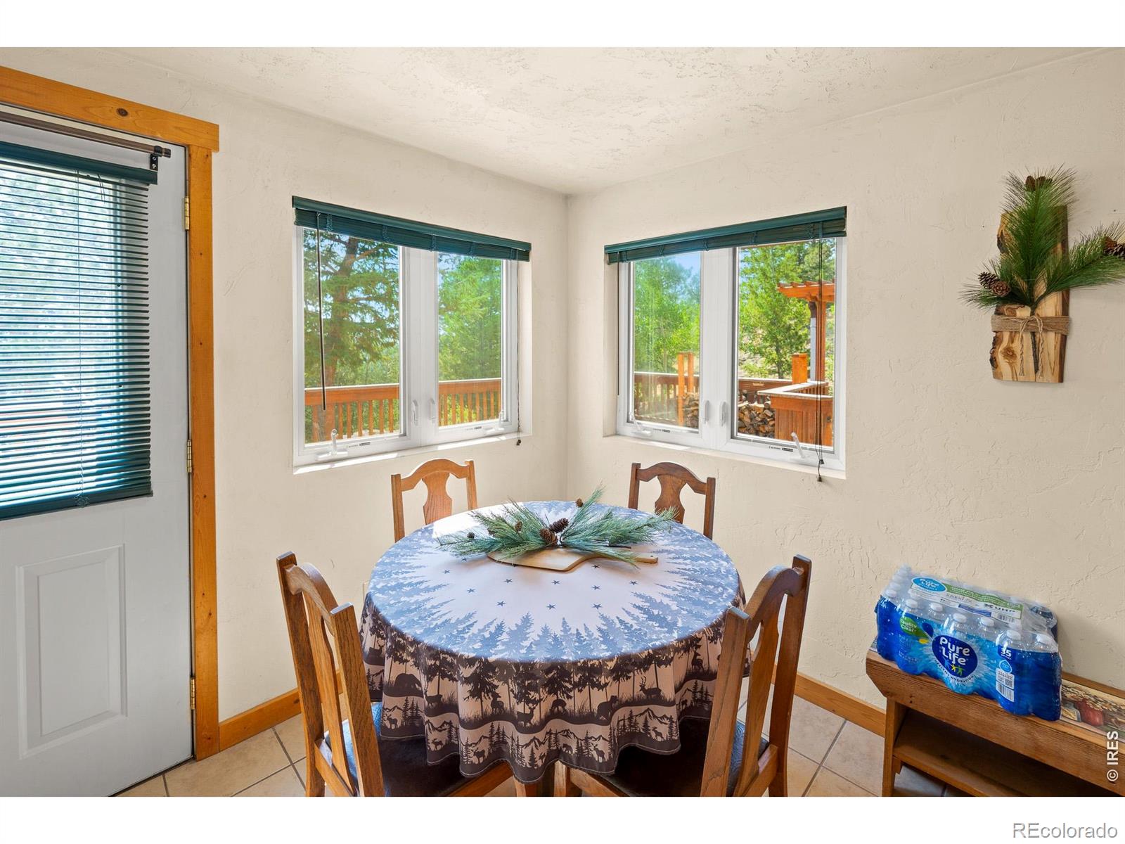 MLS Image #10 for 107  miami court,red feather lakes, Colorado