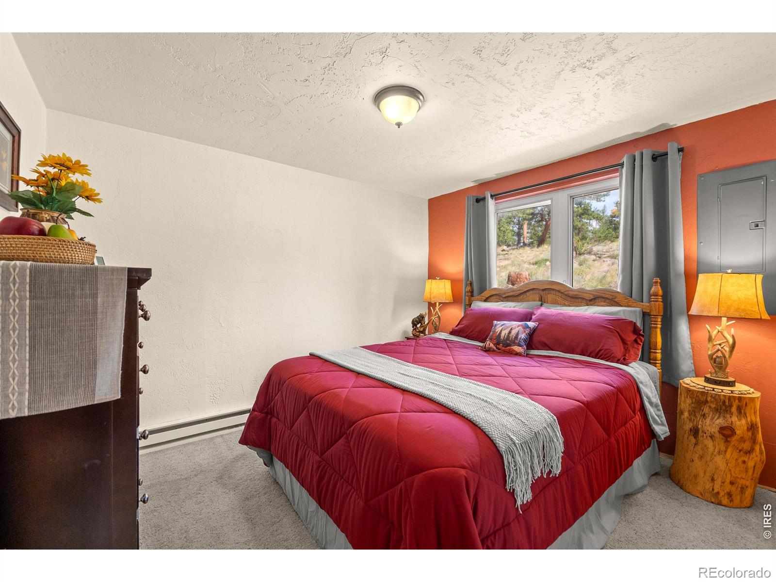 MLS Image #15 for 107  miami court,red feather lakes, Colorado