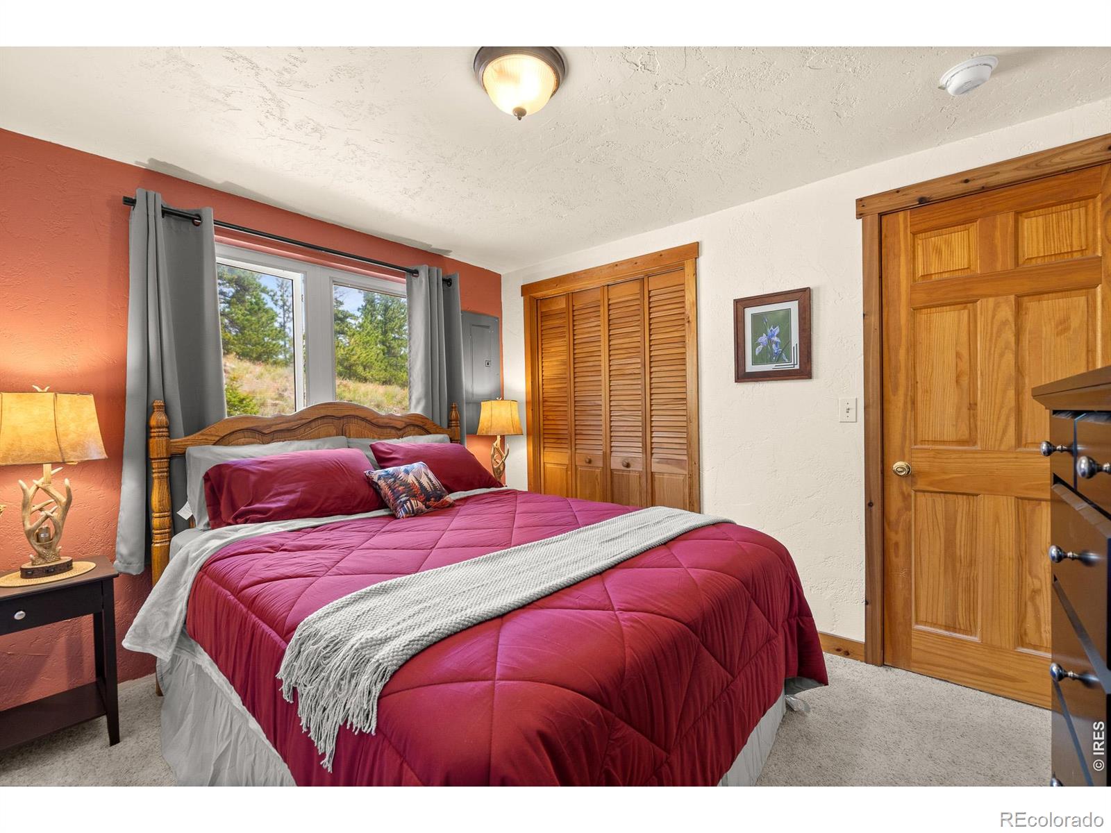 MLS Image #16 for 107  miami court,red feather lakes, Colorado