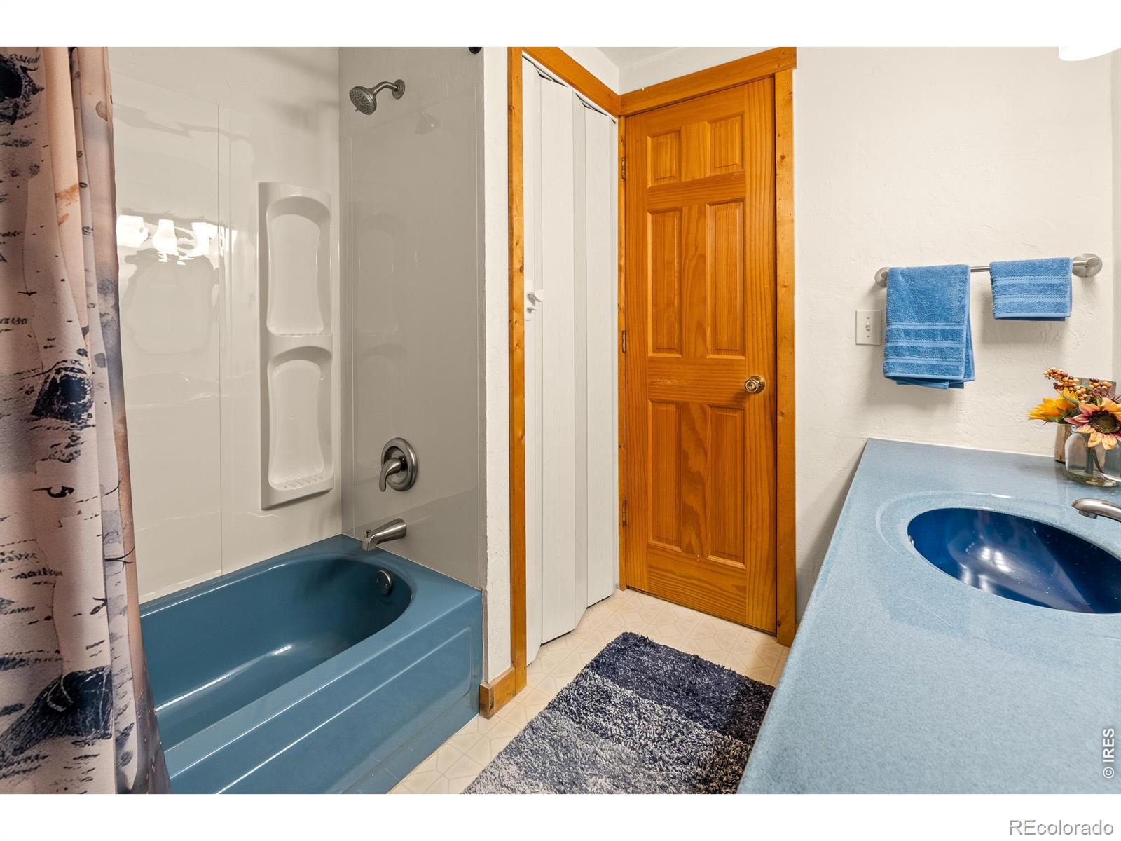 MLS Image #18 for 107  miami court,red feather lakes, Colorado