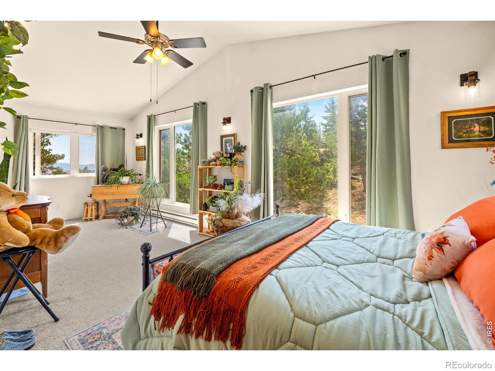 MLS Image #19 for 107  miami court,red feather lakes, Colorado