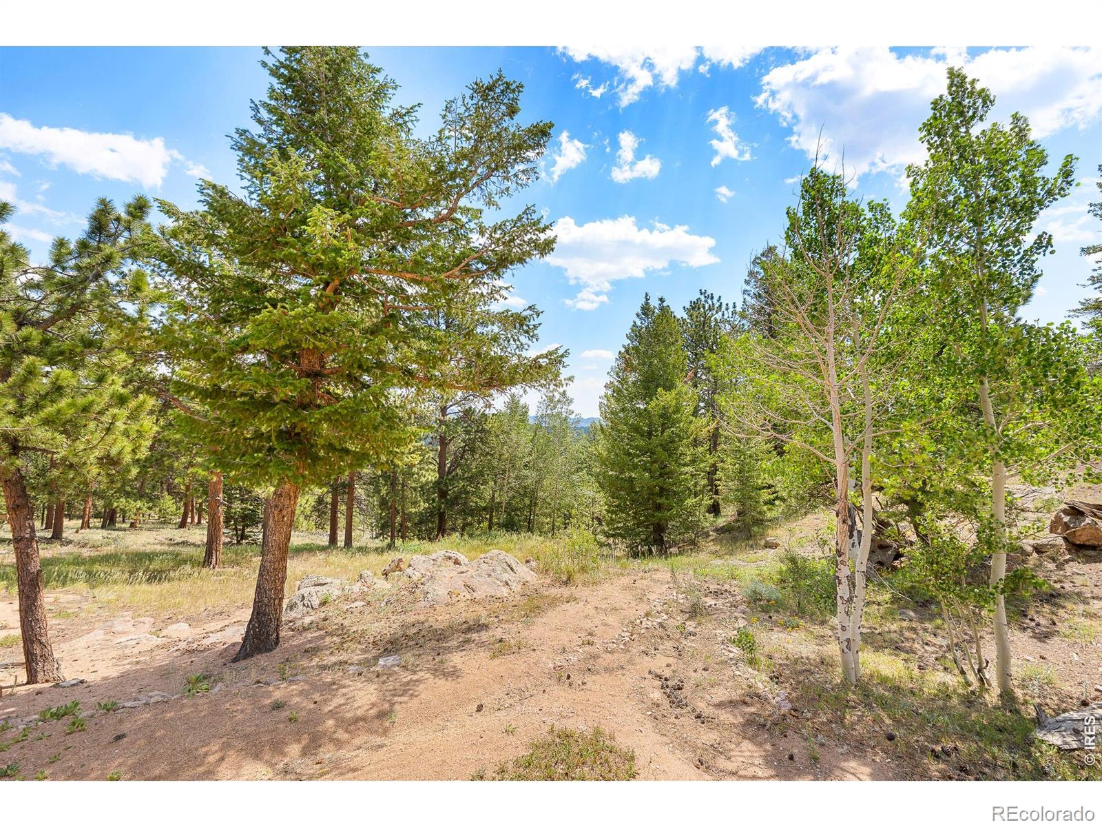 MLS Image #2 for 107  miami court,red feather lakes, Colorado