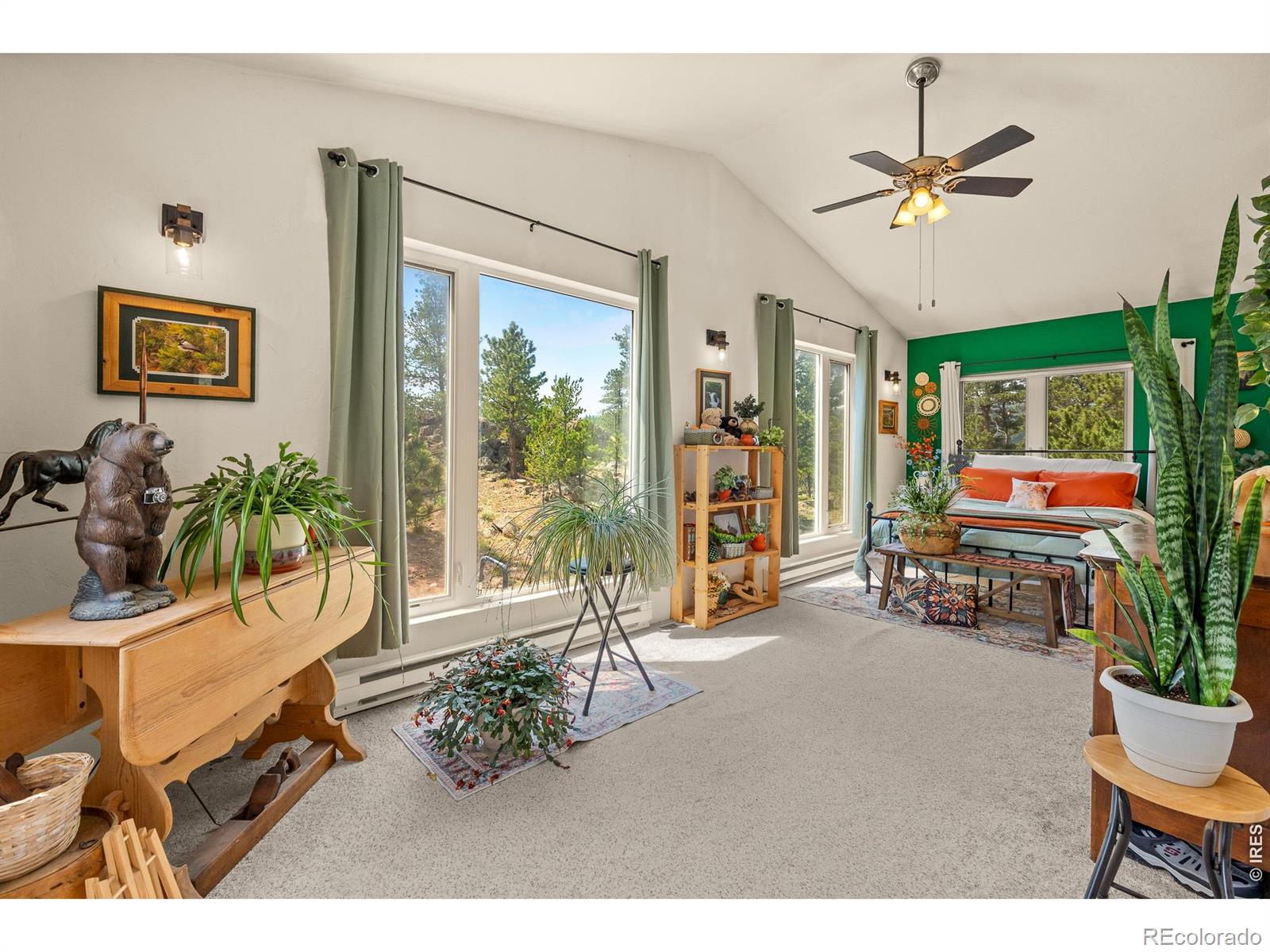 MLS Image #20 for 107  miami court,red feather lakes, Colorado